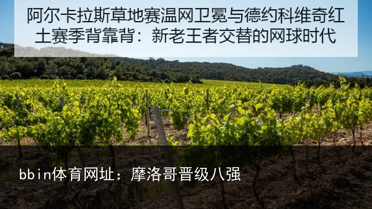 bbin体育网址：摩洛哥晋级八强